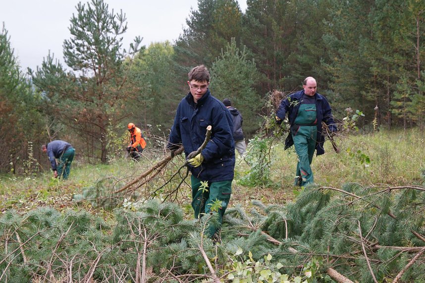 Freiwilligeneinsatz am Gr&uuml;nen Band