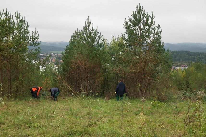 Freiwilligeneinsatz am Gr&uuml;nen Band