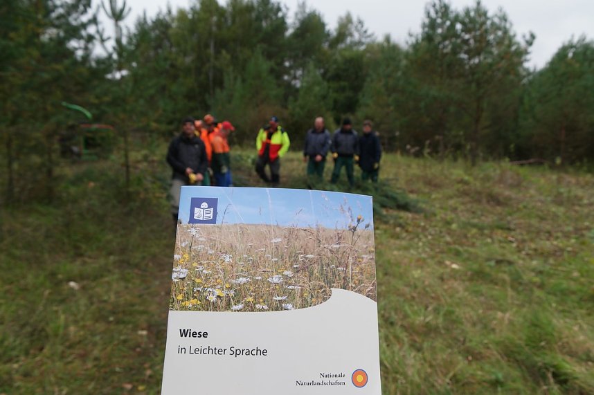 Freiwilligeneinsatz am Gr&uuml;nen Band