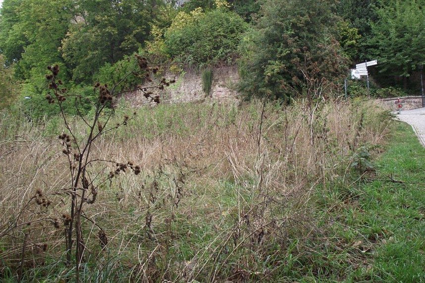 So sah es zwischen Grimmel und M&uuml;hlhof vor unserer Ver&ouml;ffentlichung aus