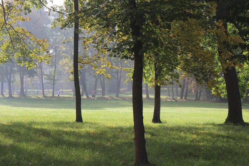 Die langen Strecken beim Stadtparklauf