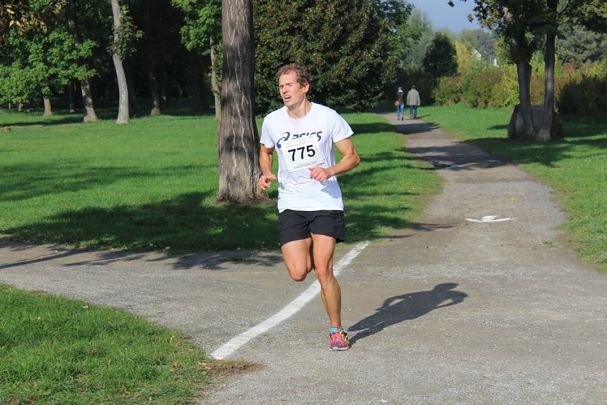 Die langen Strecken beim Stadtparklauf