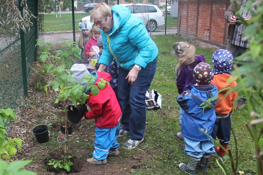 Naschhecke spendiert