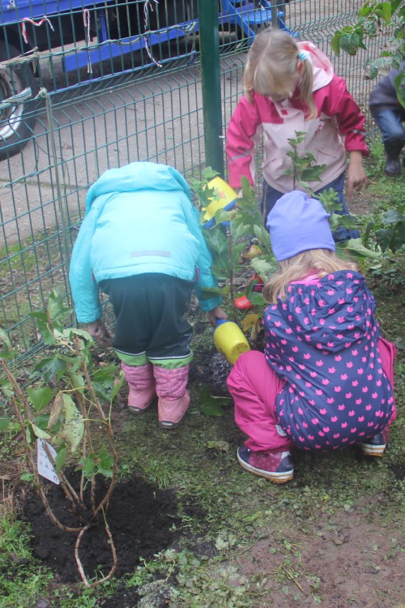 Naschhecke spendiert