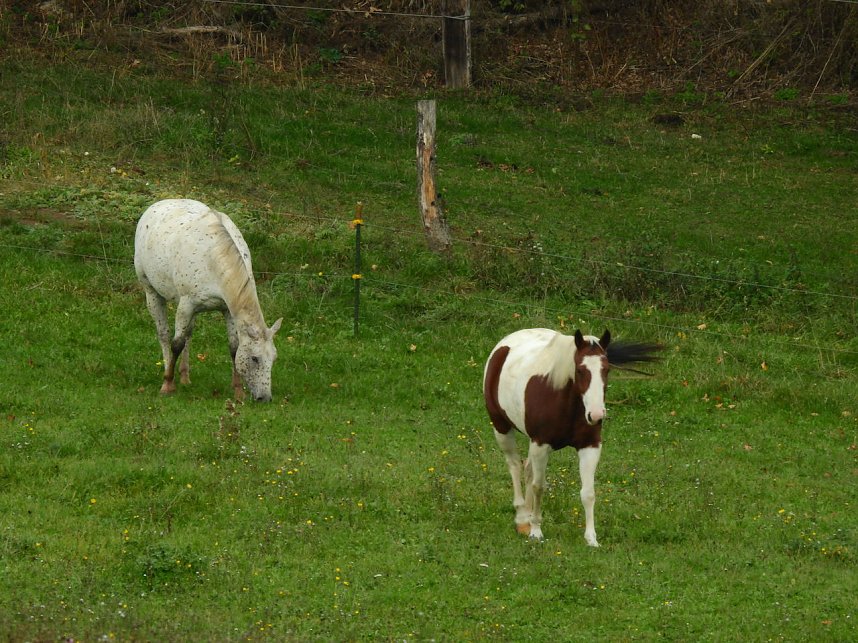 Unterwegs in und um R&uuml;disgdorf