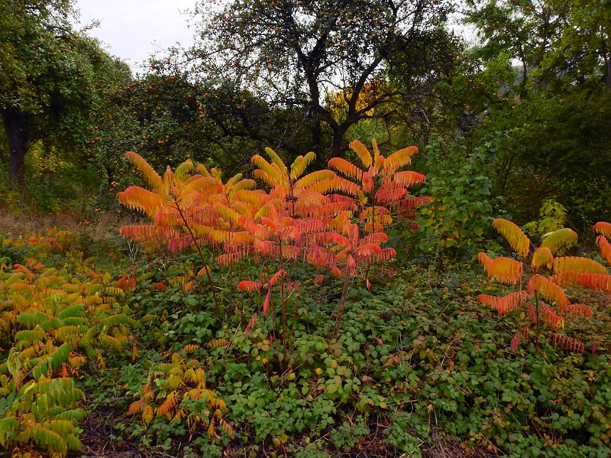 Unterwegs in und um R&uuml;disgdorf