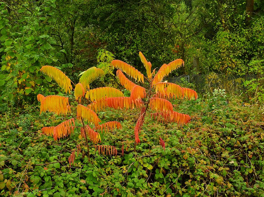 Unterwegs in und um R&uuml;disgdorf