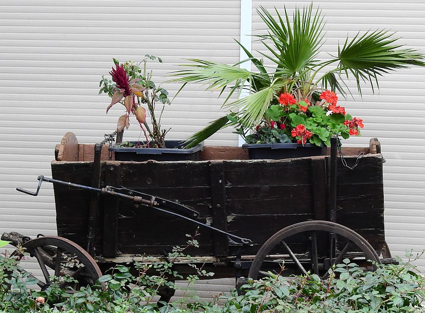 Unterwegs in und um R&uuml;disgdorf