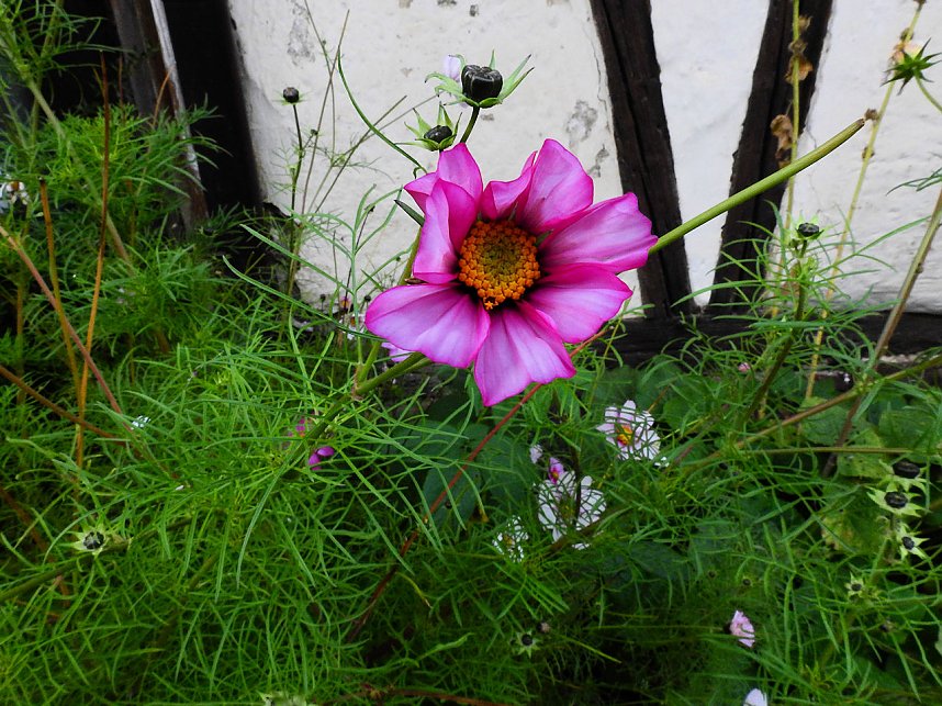 Unterwegs in und um R&uuml;disgdorf