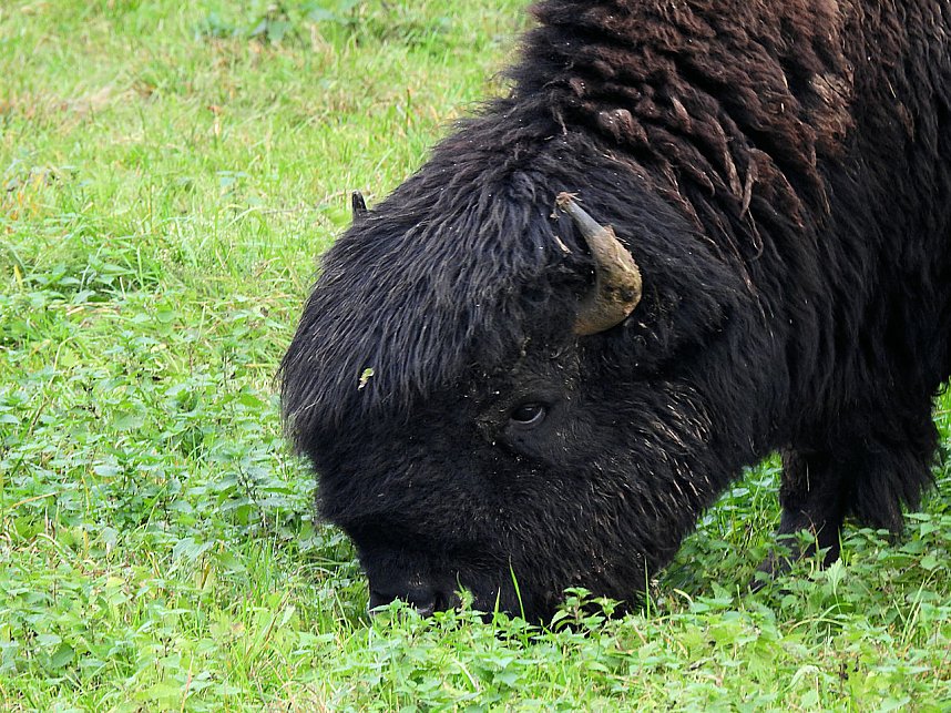 Unterwegs in und um R&uuml;disgdorf