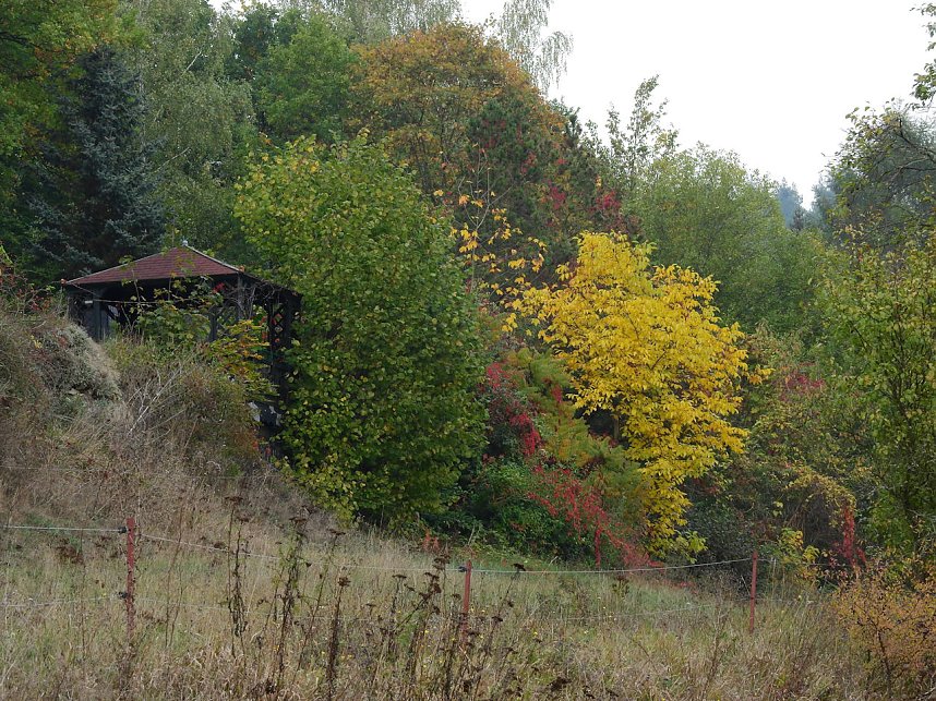 Unterwegs in und um R&uuml;disgdorf