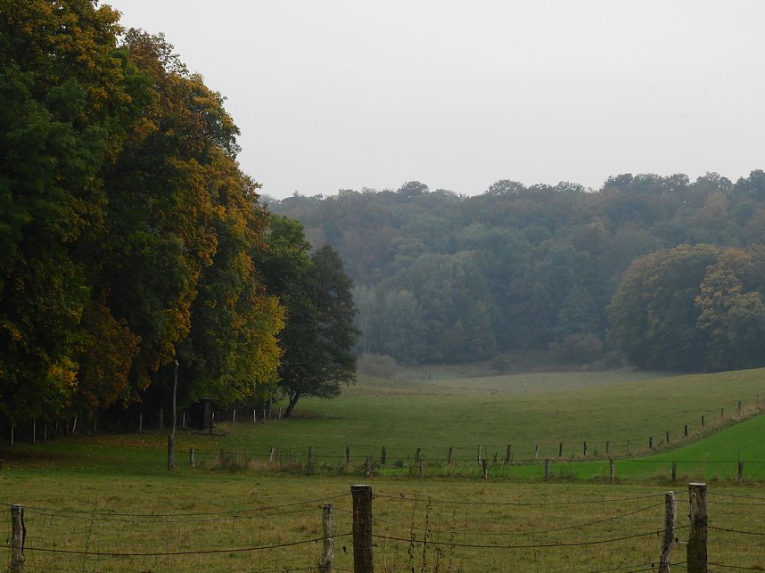 Unterwegs in und um R&uuml;disgdorf
