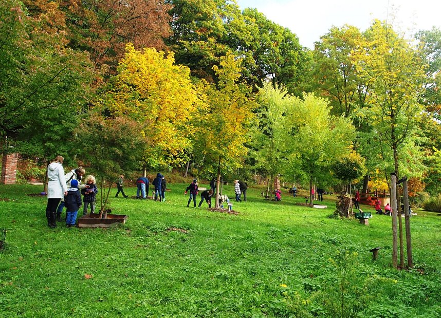 Bunte Stiefel im Ahornpark Ilfeld
