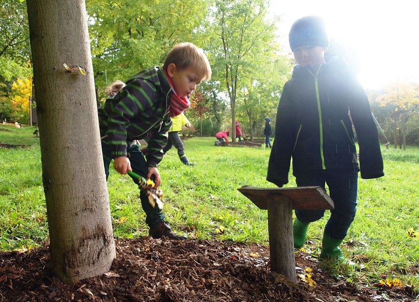 Bunte Stiefel im Ahornpark Ilfeld