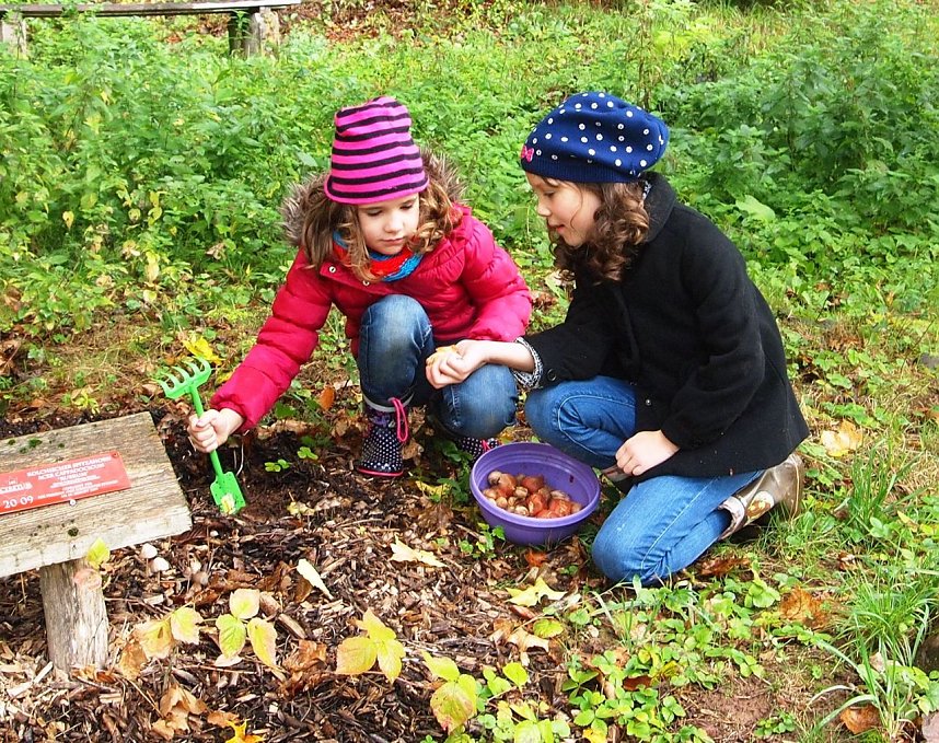 Bunte Stiefel im Ahornpark Ilfeld