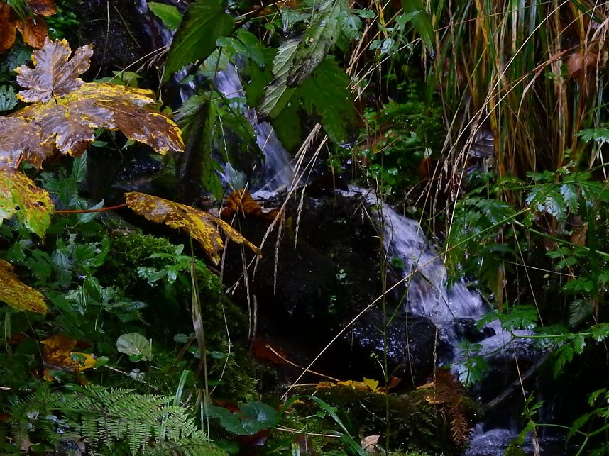 Unterwegs im sch&ouml;nen Harz