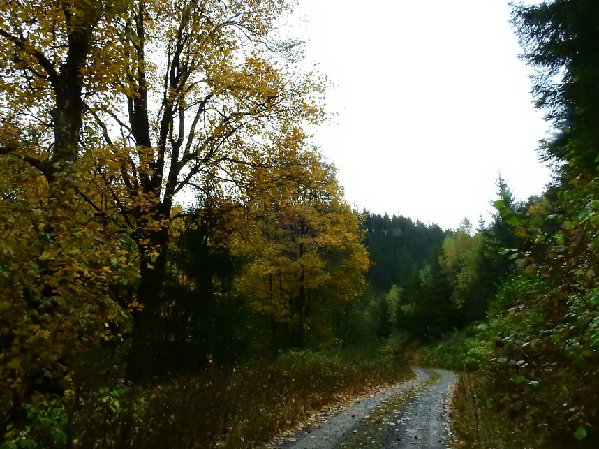 Unterwegs im sch&ouml;nen Harz