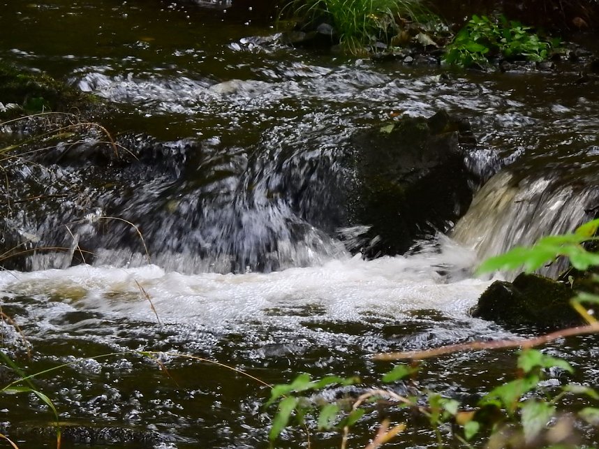 Unterwegs im sch&ouml;nen Harz