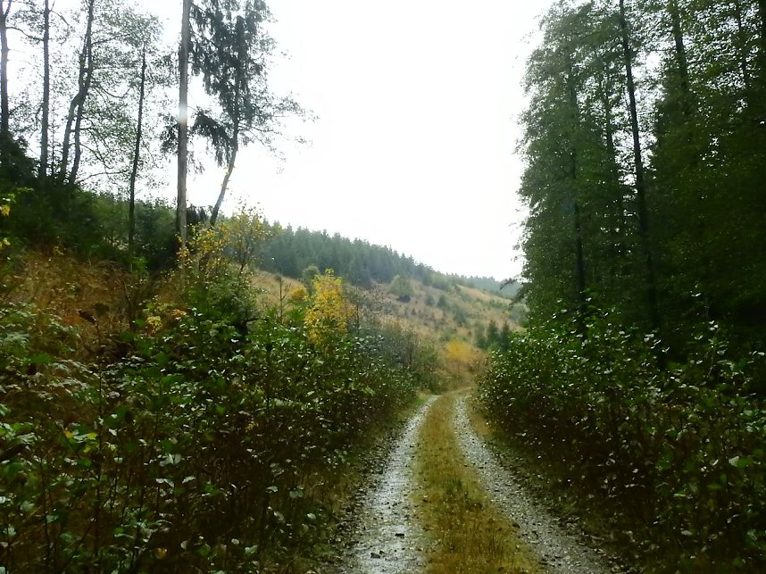 Unterwegs im sch&ouml;nen Harz