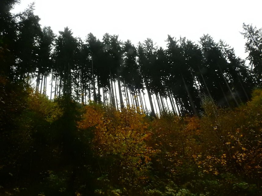 Unterwegs im sch&ouml;nen Harz