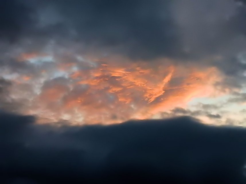 Kraniche am Stausee Kelbra