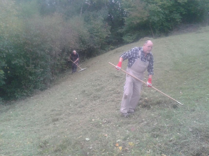 Mahd gegen den Gipsabbau