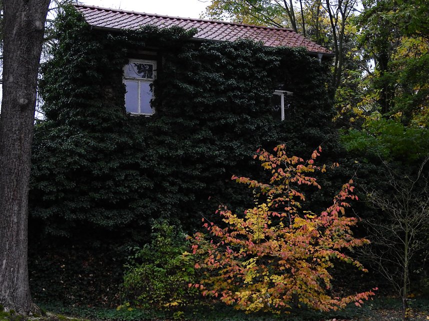Herbstliche Impressionen