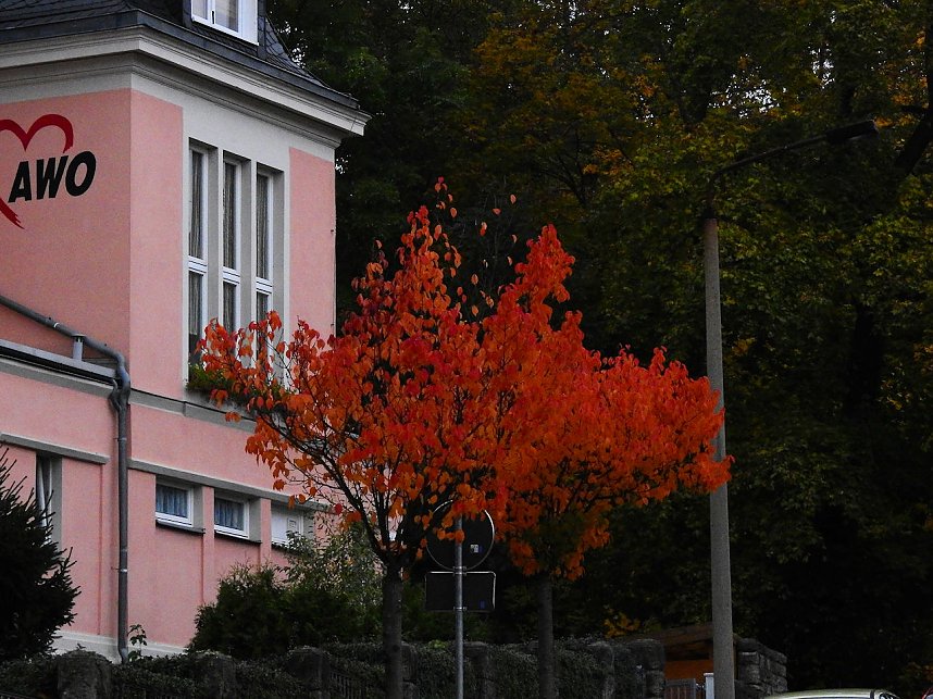 Herbstliche Impressionen