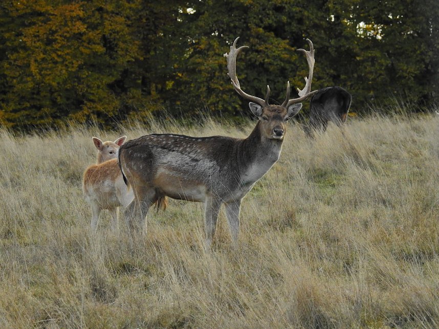 Unterwegs in Sophienhof