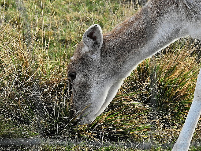 Unterwegs in Sophienhof