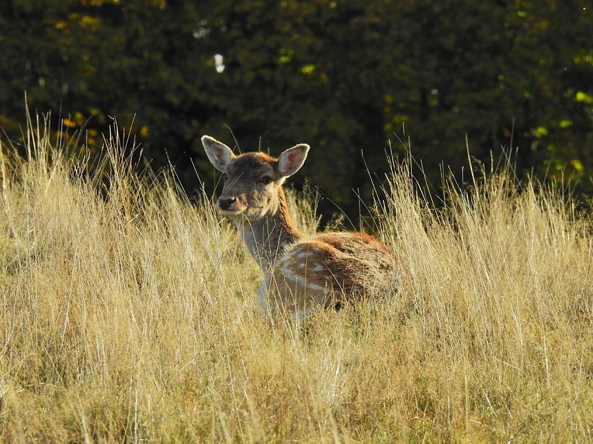 Unterwegs in Sophienhof
