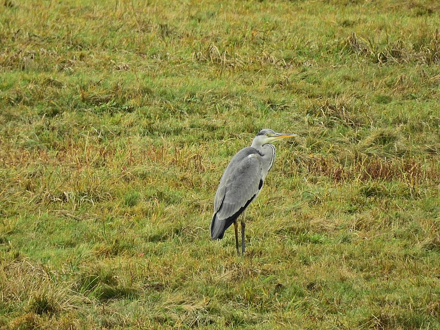 Unterwegs in Sophienhof