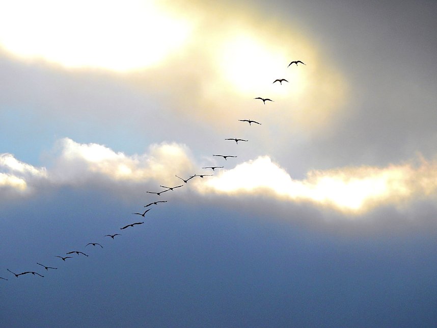 Unterwegs in Sophienhof