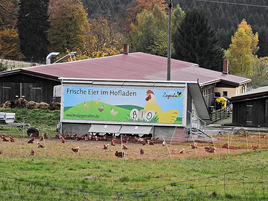 Unterwegs in Sophienhof