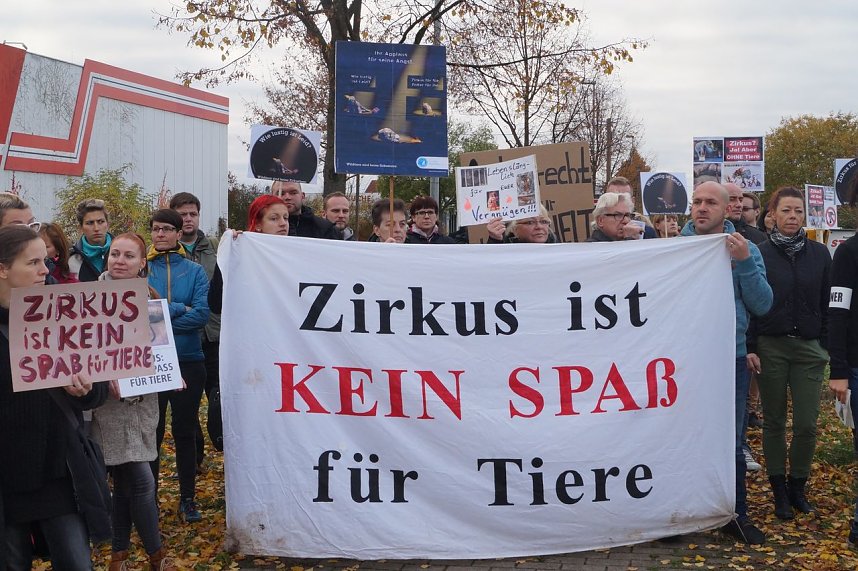 Tiersch&uuml;tzer protestieren gegen Zirkus mit Wildtieren