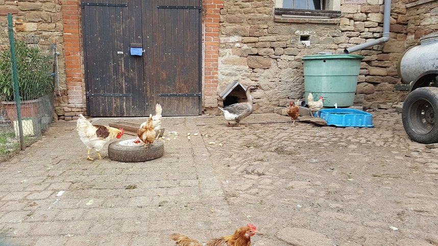 Bauernmarkt in Braunsroda