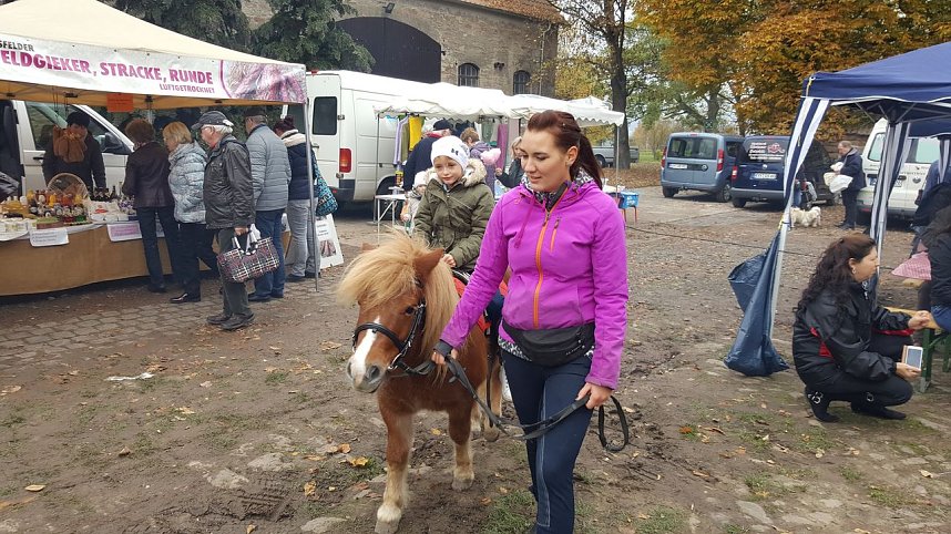 Bauernmarkt in Braunsroda