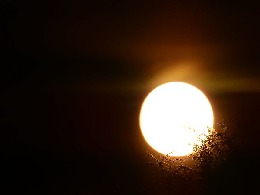 Gefunden: Der Supermond