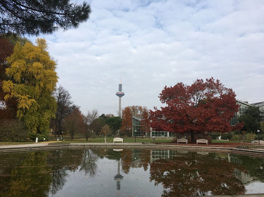 Abschlussfahrt mit Brauer Reisen