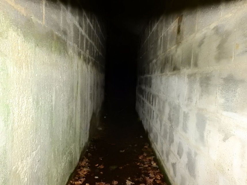 Spaziergang in Treseburg