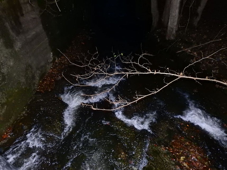 Spaziergang in Treseburg