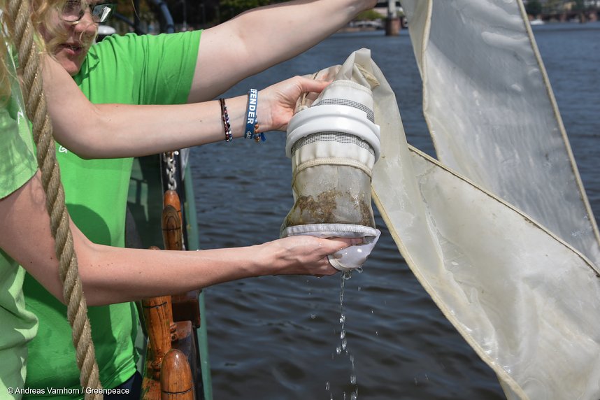 Proben zeigen Belastung der Fl&uuml;sse