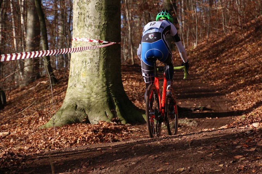 Querfeldein durchs Nordh&auml;user Gehege