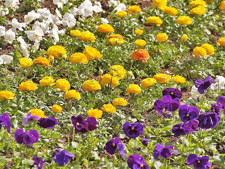 Ostern auf dem Petersberg