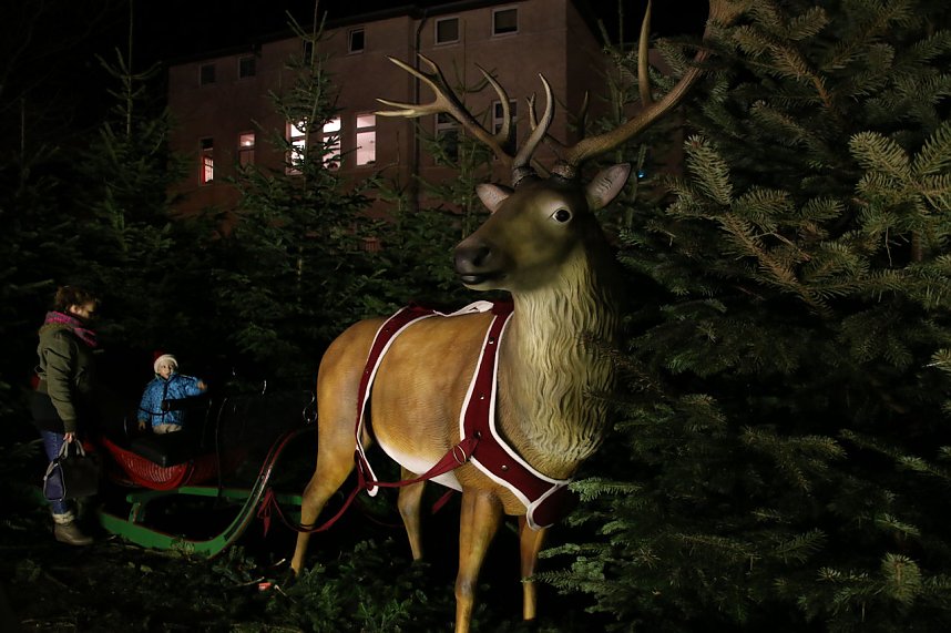 Wacker Nordhausen als Fensterpate