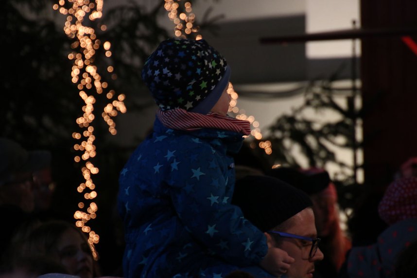 Wacker Nordhausen als Fensterpate