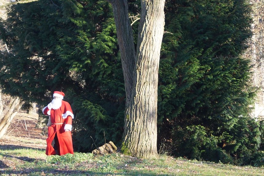 Advent im Park Hohenrode
