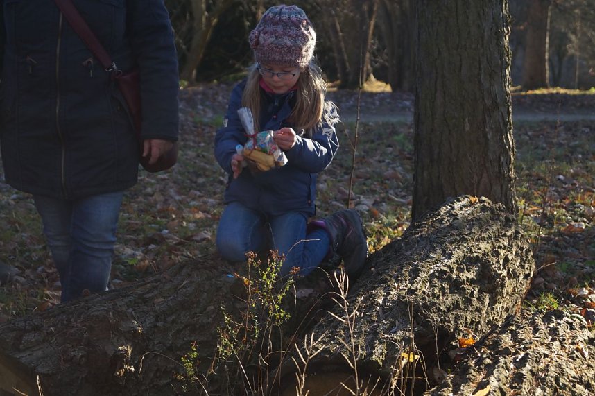Advent im Park Hohenrode