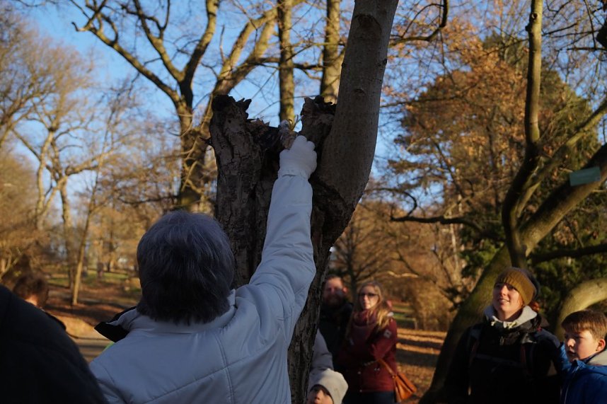 Advent im Park Hohenrode
