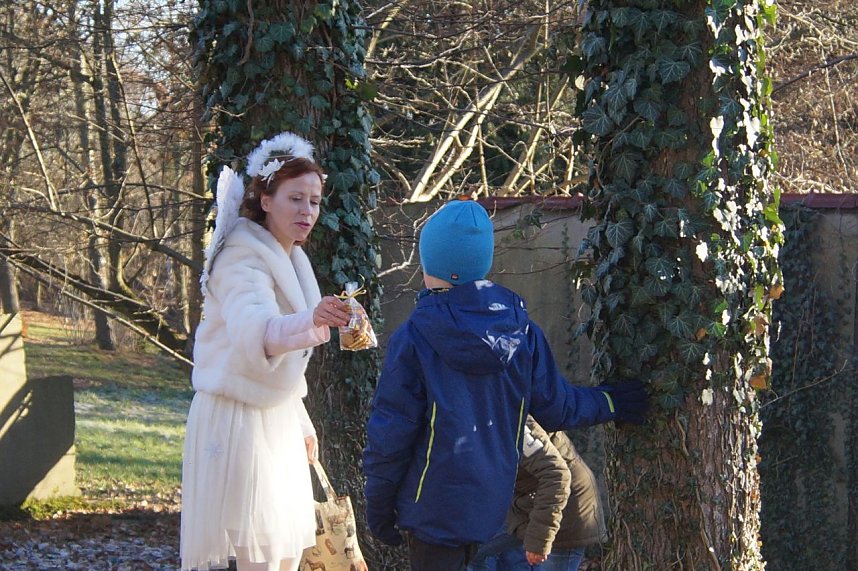 Advent im Park Hohenrode